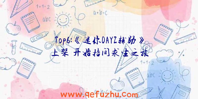 Top6:《迷你DAYZ辅助》上架